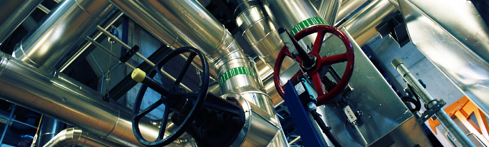 日本欧美久久久久免费播放网